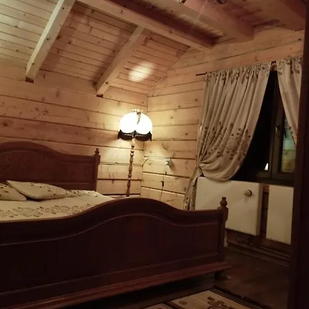 Holiday home Cabana Kraus Valea Viseului