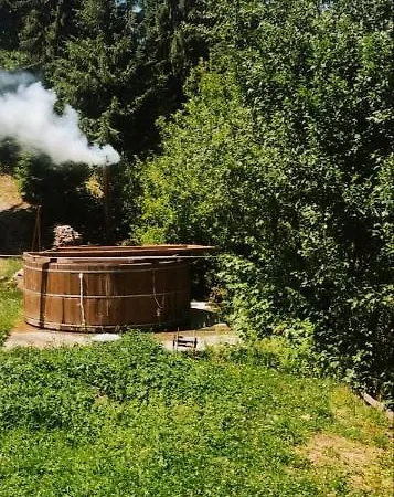 Cabana Kraus * Valea Viseului